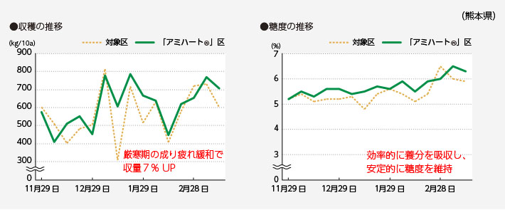 (2)アミハート®15日おきに8回 4.3ℓ/10aを施用。