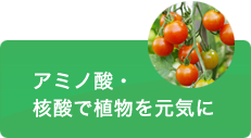 アミノ酸・拡散で植物を元気に