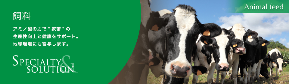 飼料　アミノ酸の力で“家畜”の生産性向上と健康をサポート。地球環境にも寄与します。