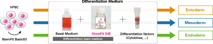 StemFit® For Differentiation 図