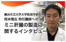 横浜市立大学大学院医学研究科 岡本理志 特任講師へのミニ肝臓の製造に関するインタビュー