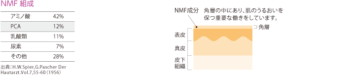 NMF組成