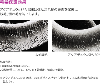毛髪保護効果