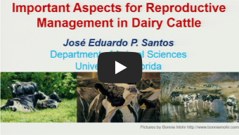 乳牛の繁殖成績を最適化する栄養管理とアミノ酸の重要性 Part I　乳牛繁殖マネージメントの基礎