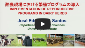 乳牛の繁殖成績を最適化する栄養管理とアミノ酸の重要性 Part II　酪農場における繁殖管理の実践方法