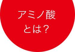 アミノ酸とは？